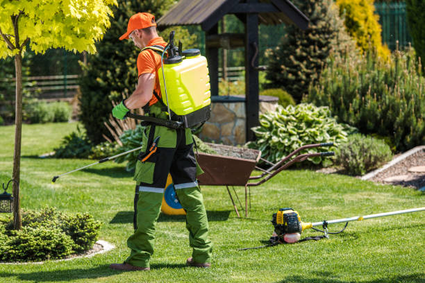 Best Fumigation Services  in Ellitt, CO